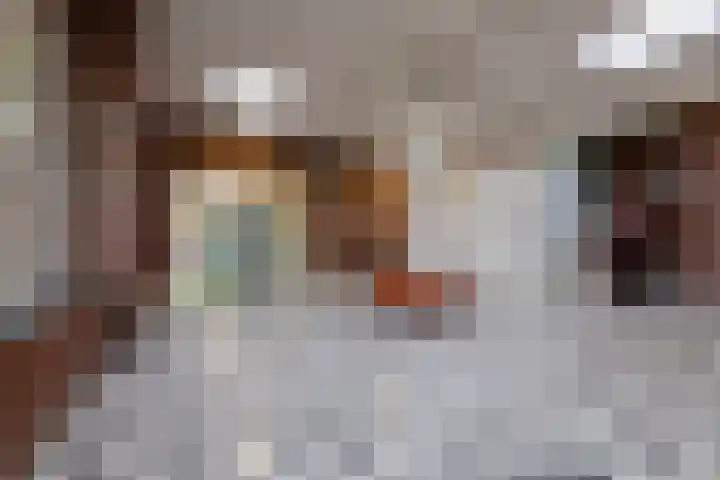 Laan van Vollenhove 952 Zeist thumbnail 21