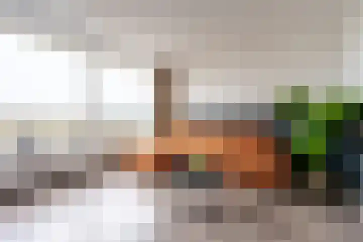 Laan van Vollenhove 952 Zeist thumbnail 5