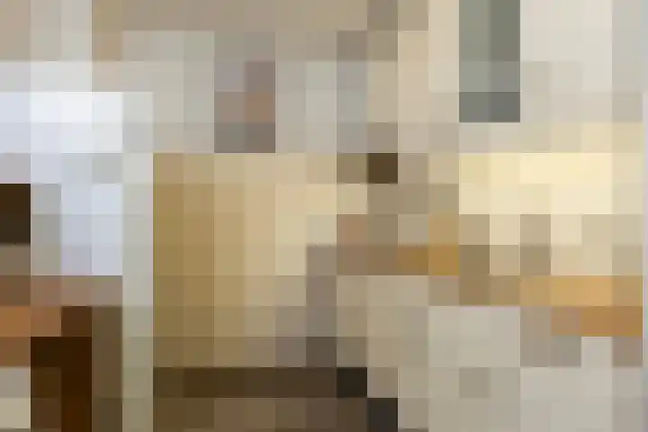 Laan van Vollenhove 954 Zeist thumbnail 10