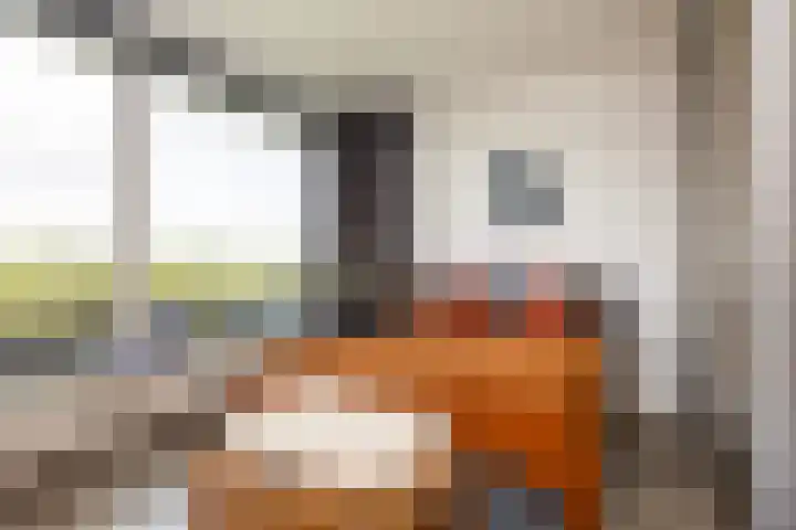 Laan van Vollenhove 954 Zeist thumbnail 18