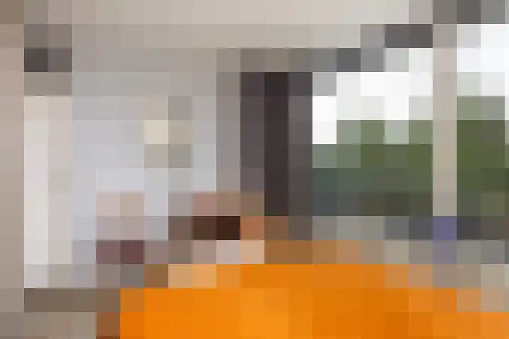 Laan van Vollenhove 954 Zeist thumbnail 20