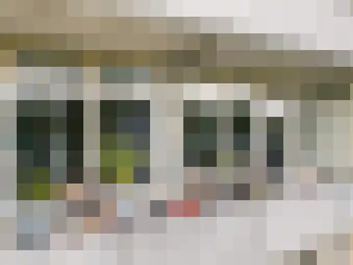 Laan van Vollenhove 954 Zeist thumbnail 21