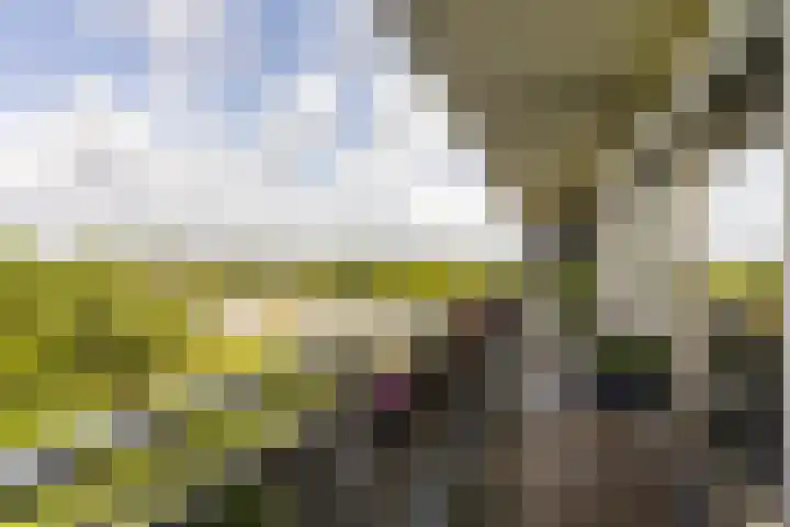 Laan van Vollenhove 954 Zeist thumbnail 24