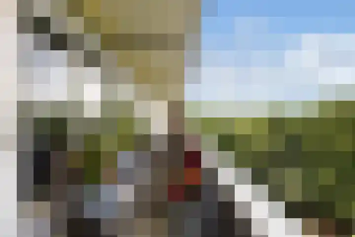 Laan van Vollenhove 954 Zeist thumbnail 25