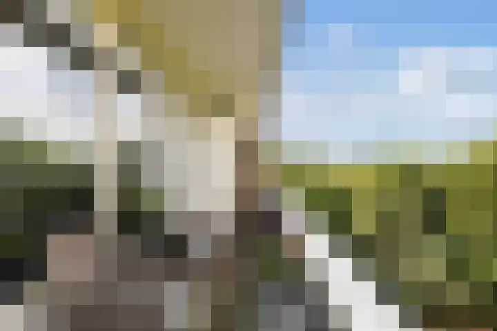 Laan van Vollenhove 954 Zeist thumbnail 26