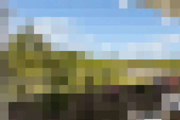 Laan van Vollenhove 954 Zeist thumbnail 27