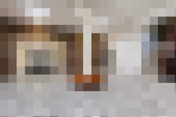 Laan van Vollenhove 954 Zeist thumbnail 30