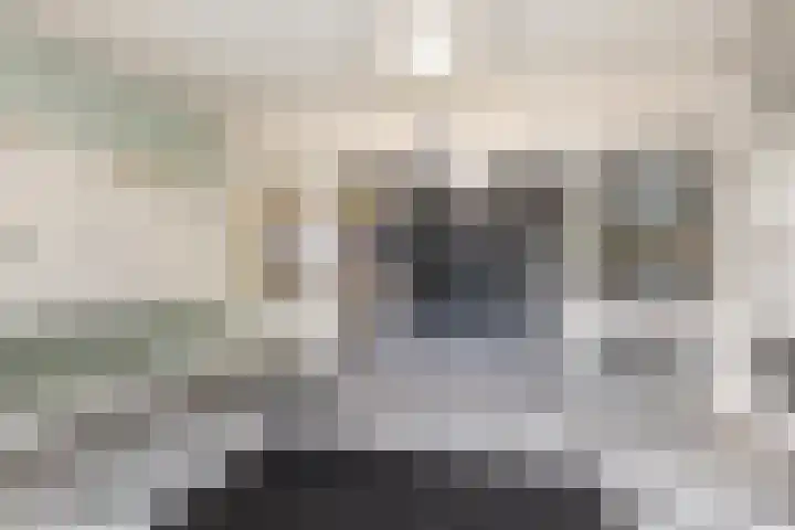 Laan van Vollenhove 954 Zeist thumbnail 32