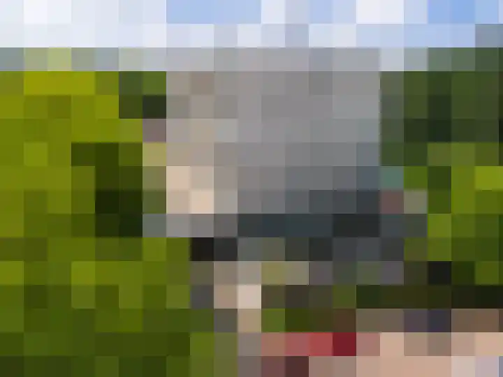 Laan van Vollenhove 954 Zeist thumbnail 35