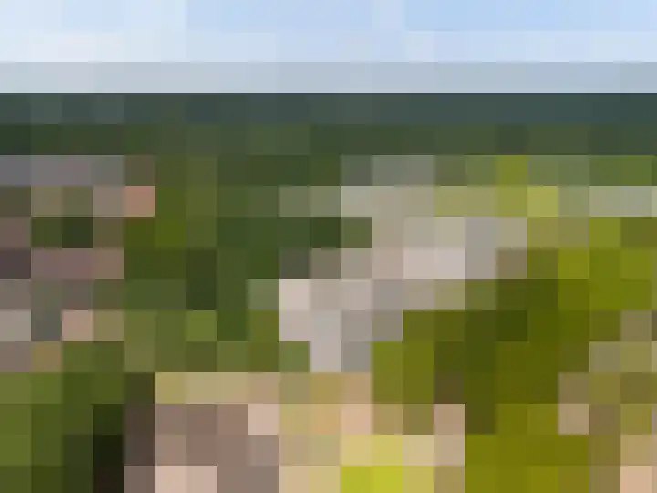 Laan van Vollenhove 954 Zeist thumbnail 36