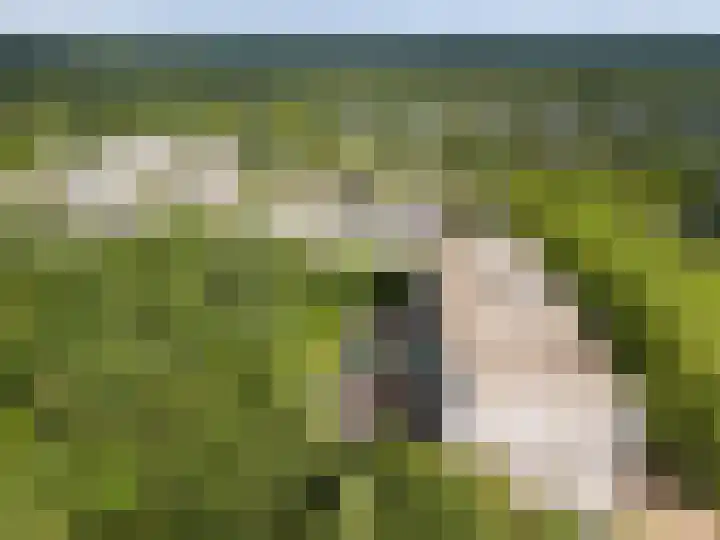 Laan van Vollenhove 954 Zeist thumbnail 37
