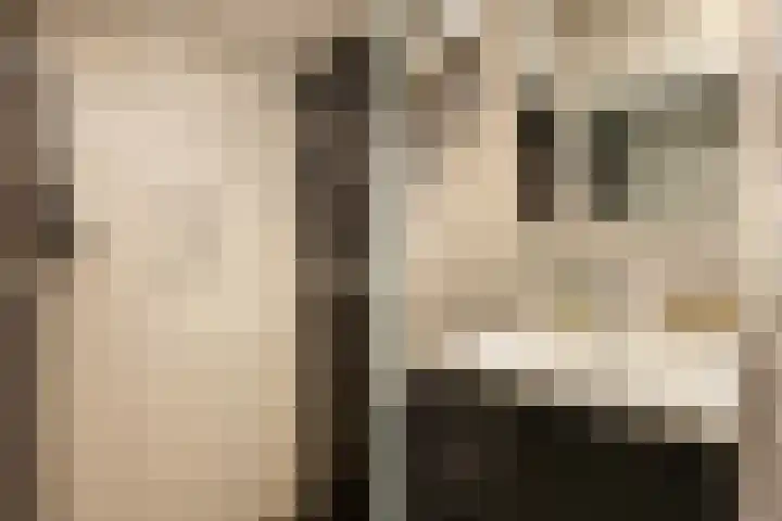 Laan van Vollenhove 954 Zeist thumbnail 4