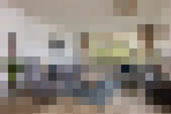 Laan van Vollenhove 954 Zeist thumbnail 5