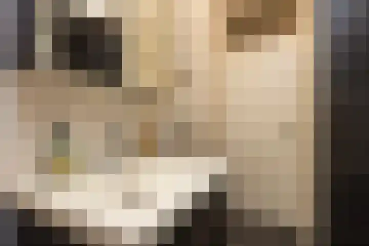 Laan van Vollenhove 954 Zeist thumbnail 8