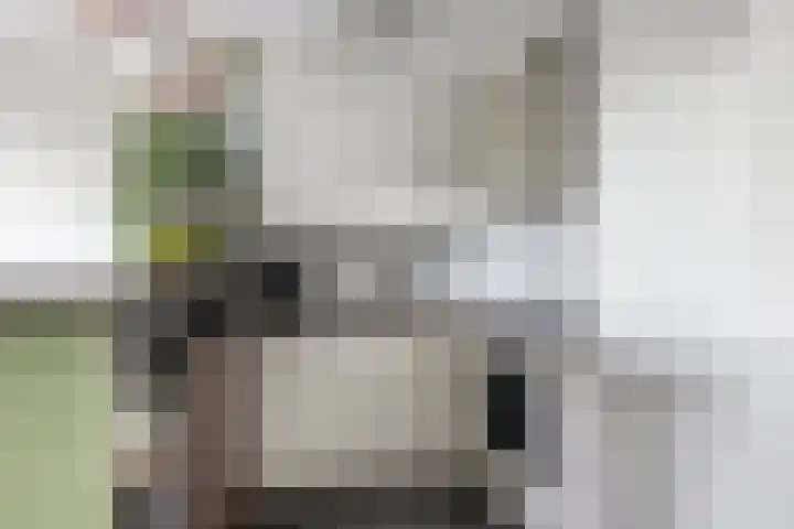 Laan van Vollenhove 956 Zeist thumbnail 10