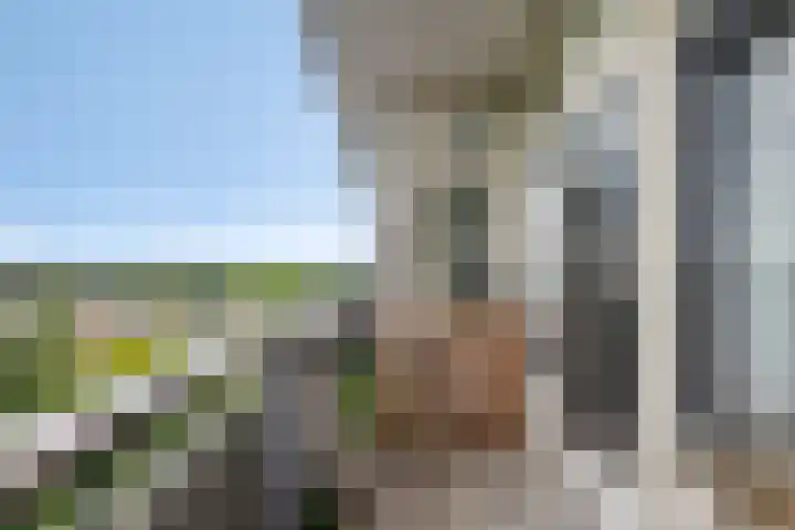 Laan van Vollenhove 956 Zeist thumbnail 19