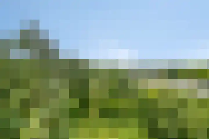 Laan van Vollenhove 956 Zeist thumbnail 21