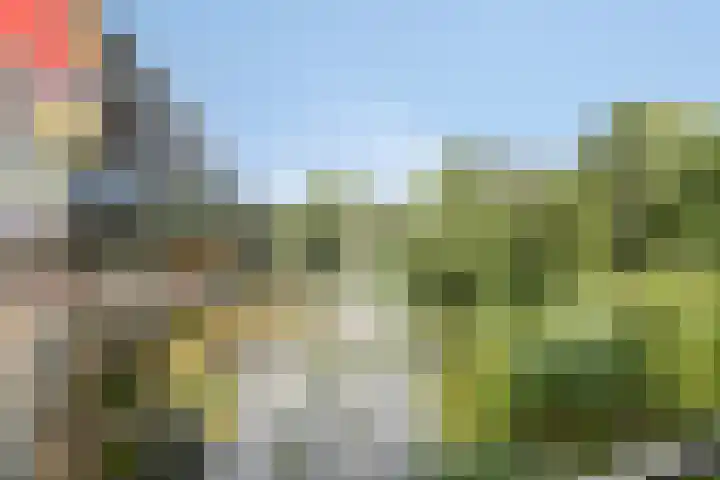 Laan van Vollenhove 956 Zeist thumbnail 22