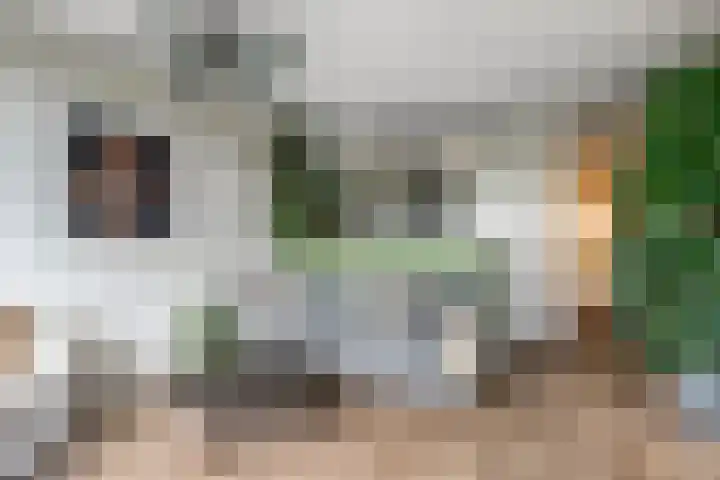Laan van Vollenhove 956 Zeist thumbnail 9