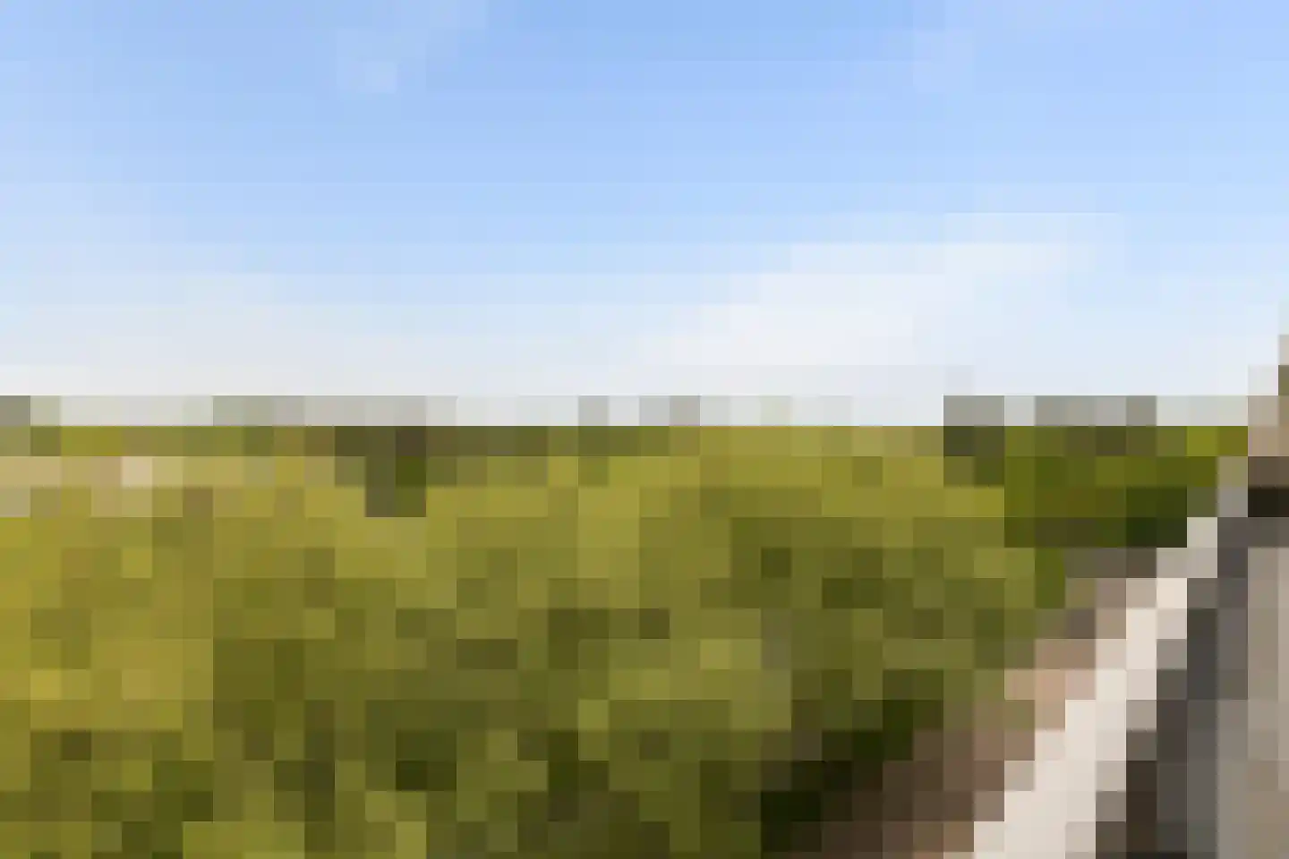 Laan van Vollenhove 998 Zeist thumbnail 30