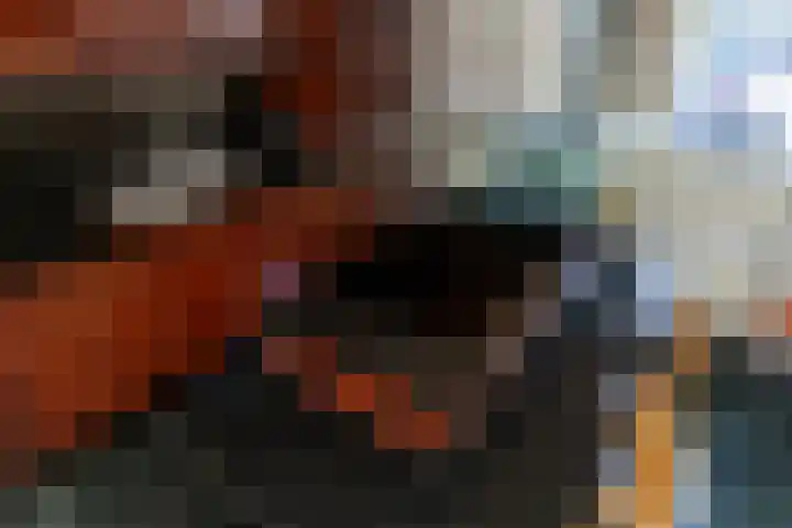 Laan van Vredestein 131 Den Haag thumbnail 10