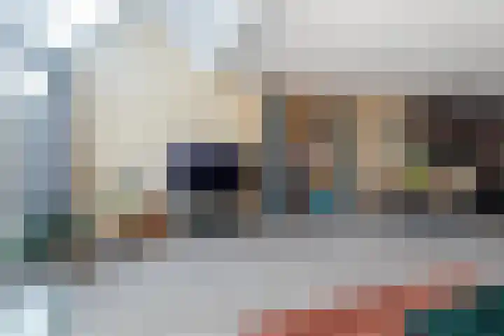 Laan van Vredestein 131 Den Haag thumbnail 13