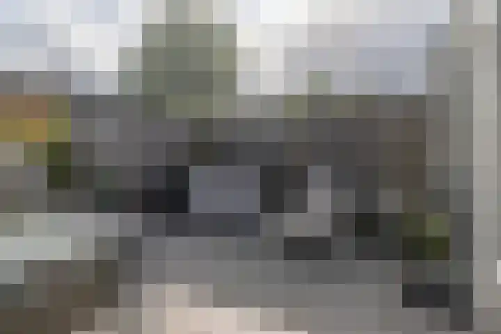 Laan van Vredestein 131 Den Haag thumbnail 19