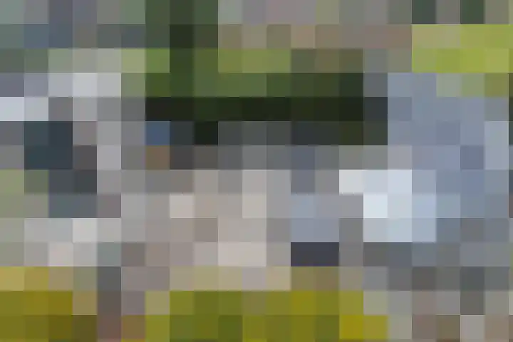 Laan van Vredestein 131 Den Haag thumbnail 20