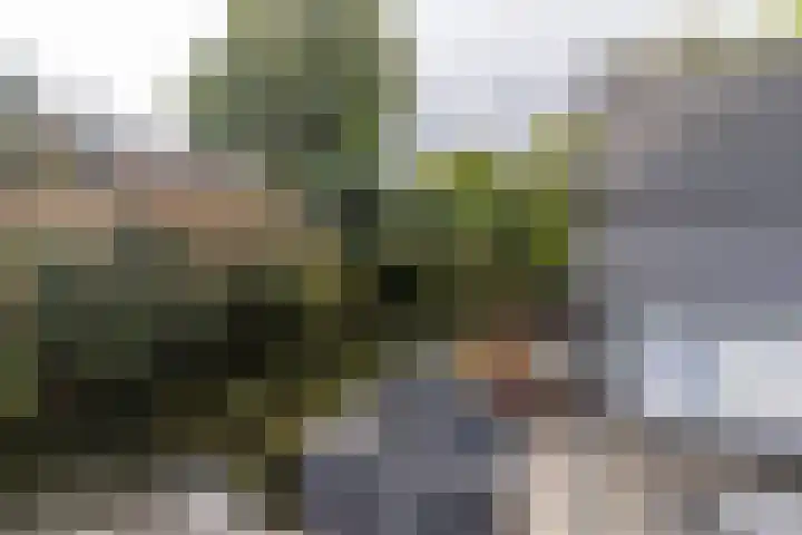 Laan van Vredestein 131 Den Haag thumbnail 21