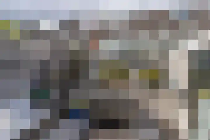 Laan van Vredestein 131 Den Haag thumbnail 23