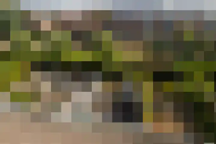 Laan van Vredestein 131 Den Haag thumbnail 24