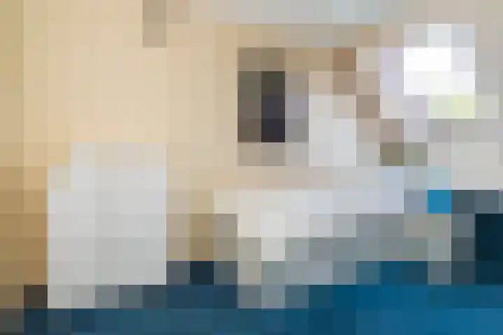 Laan van Vredestein 131 Den Haag thumbnail 27