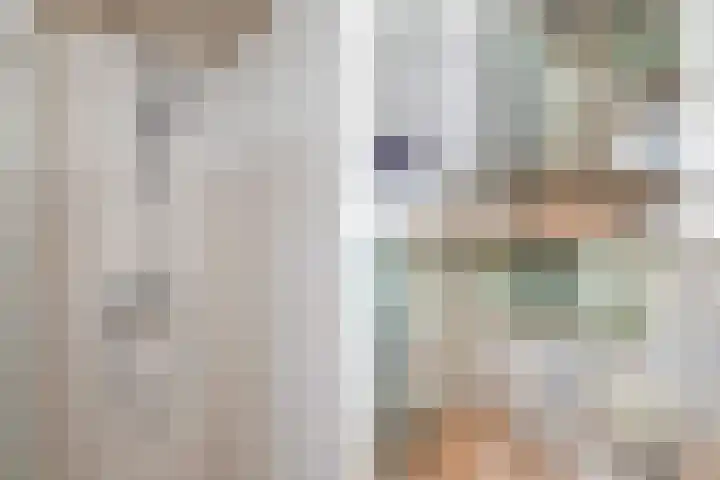 Laan van Vredestein 131 Den Haag thumbnail 31
