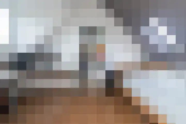Laan van Vredestein 131 Den Haag thumbnail 34