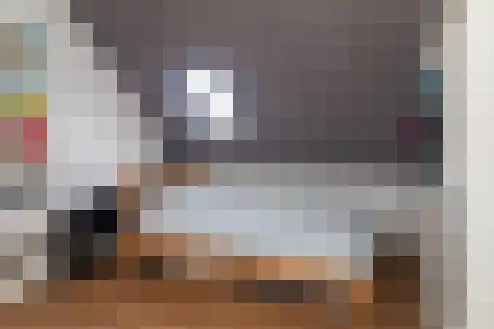 Laan van Vredestein 131 Den Haag thumbnail 35
