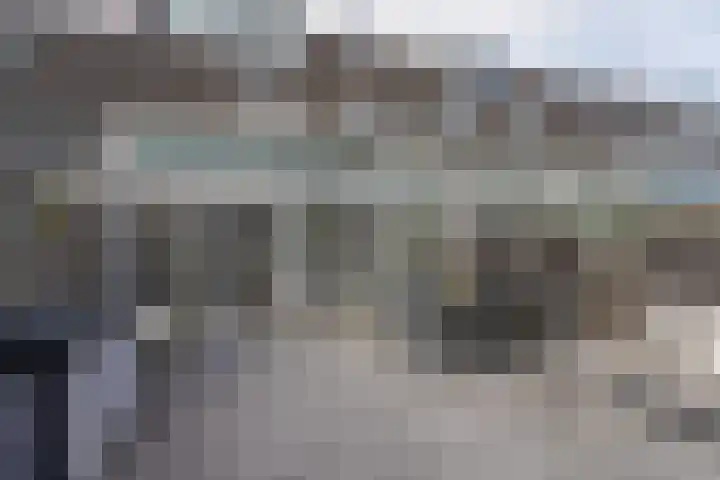 Laan van Vredestein 131 Den Haag thumbnail 4