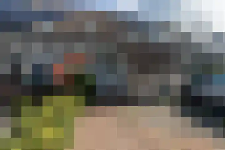 Laan van Vredestein 131 Den Haag thumbnail 5