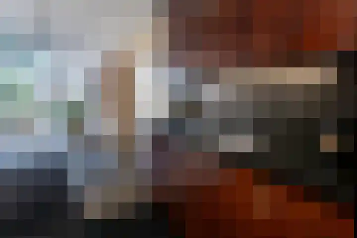 Laan van Vredestein 131 Den Haag thumbnail 9