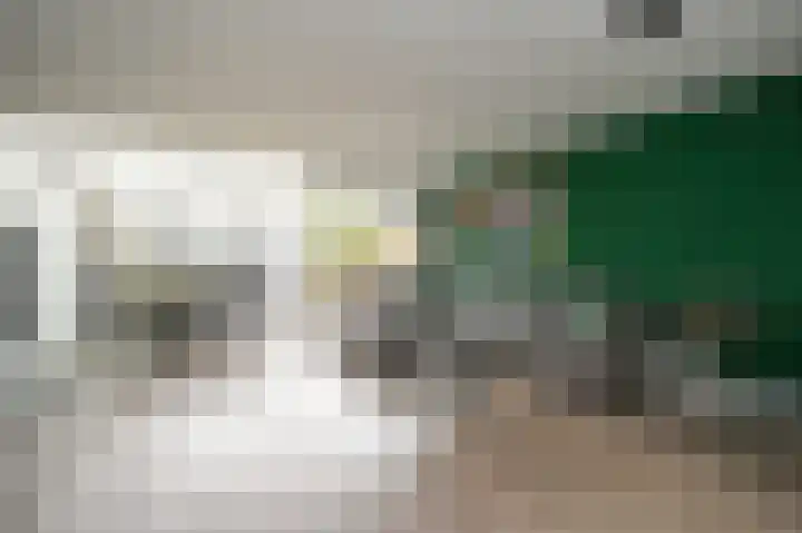 Laan van Vredestein 46 Den Haag thumbnail 10