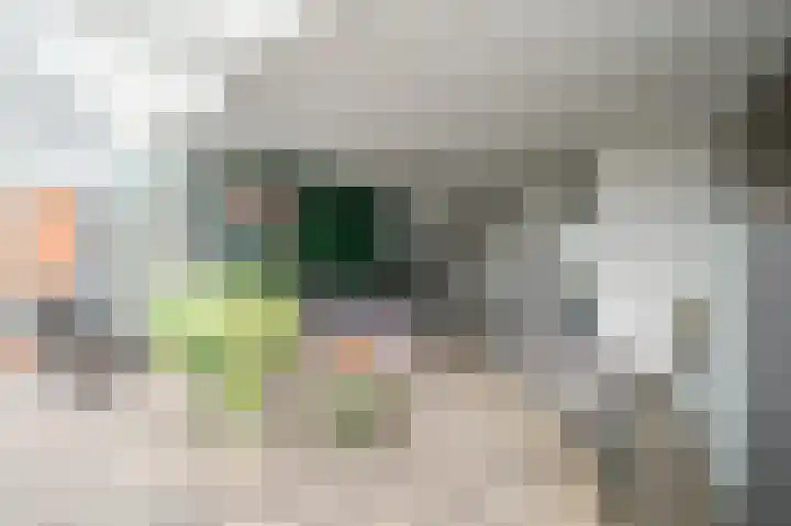 Laan van Vredestein 46 Den Haag thumbnail 13