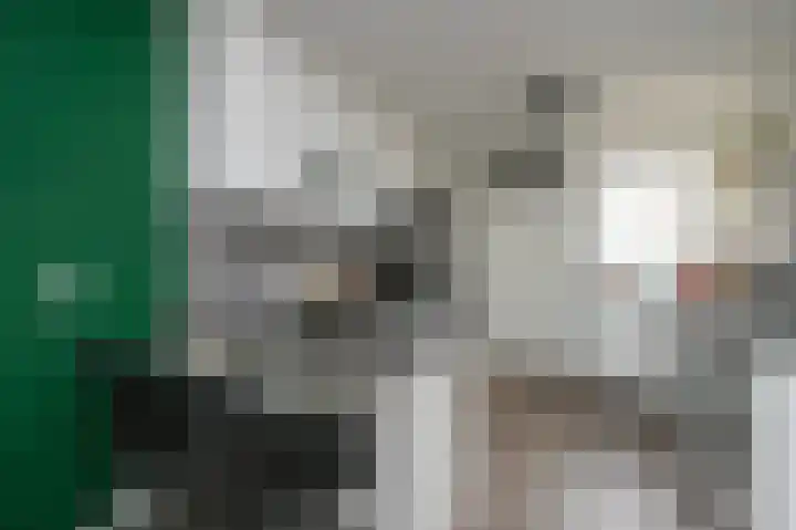 Laan van Vredestein 46 Den Haag thumbnail 20