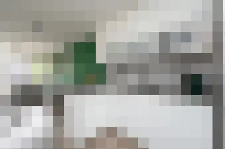Laan van Vredestein 46 Den Haag thumbnail 22