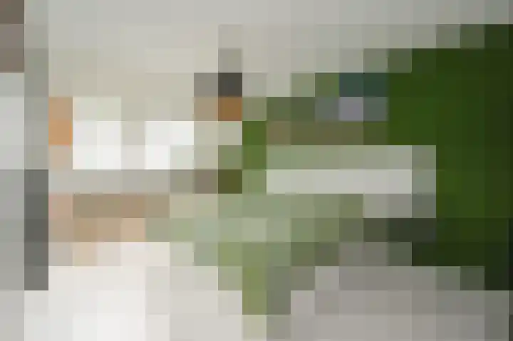 Laan van Vredestein 46 Den Haag thumbnail 27