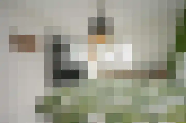 Laan van Vredestein 46 Den Haag thumbnail 28
