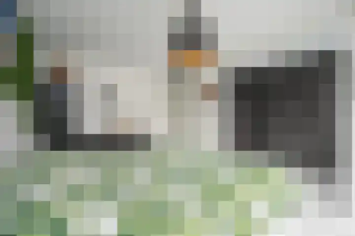 Laan van Vredestein 46 Den Haag thumbnail 29