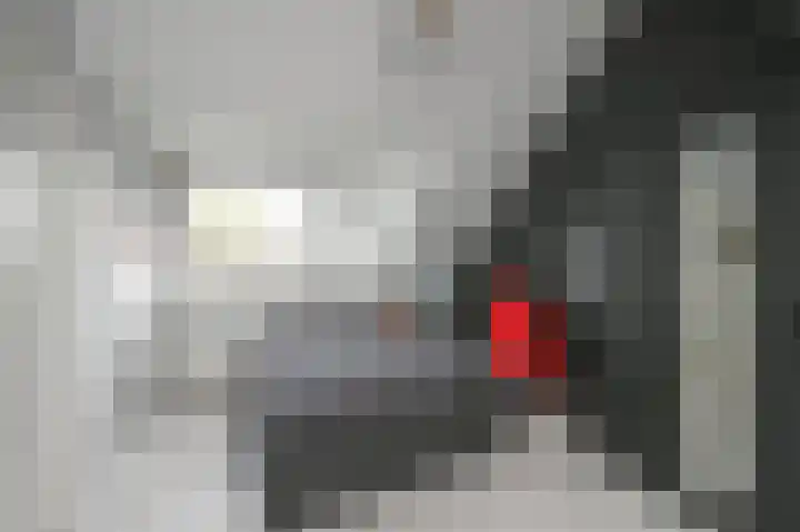 Laan van Vredestein 46 Den Haag thumbnail 41