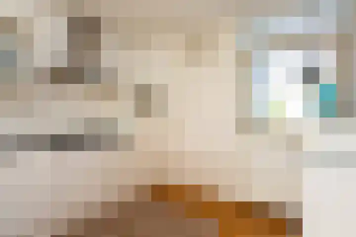 Laan van Vredestein 53 Den Haag thumbnail 11