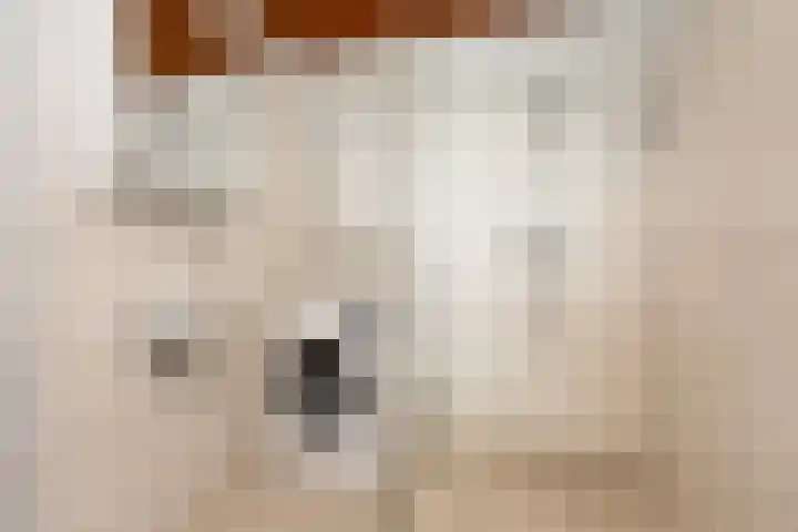 Laan van Vredestein 53 Den Haag thumbnail 12