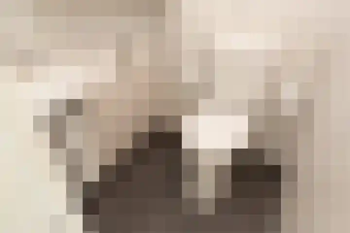 Laan van Vredestein 53 Den Haag thumbnail 28