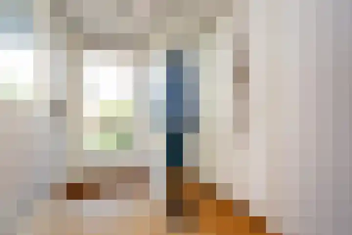 Laan van Vredestein 53 Den Haag thumbnail 29